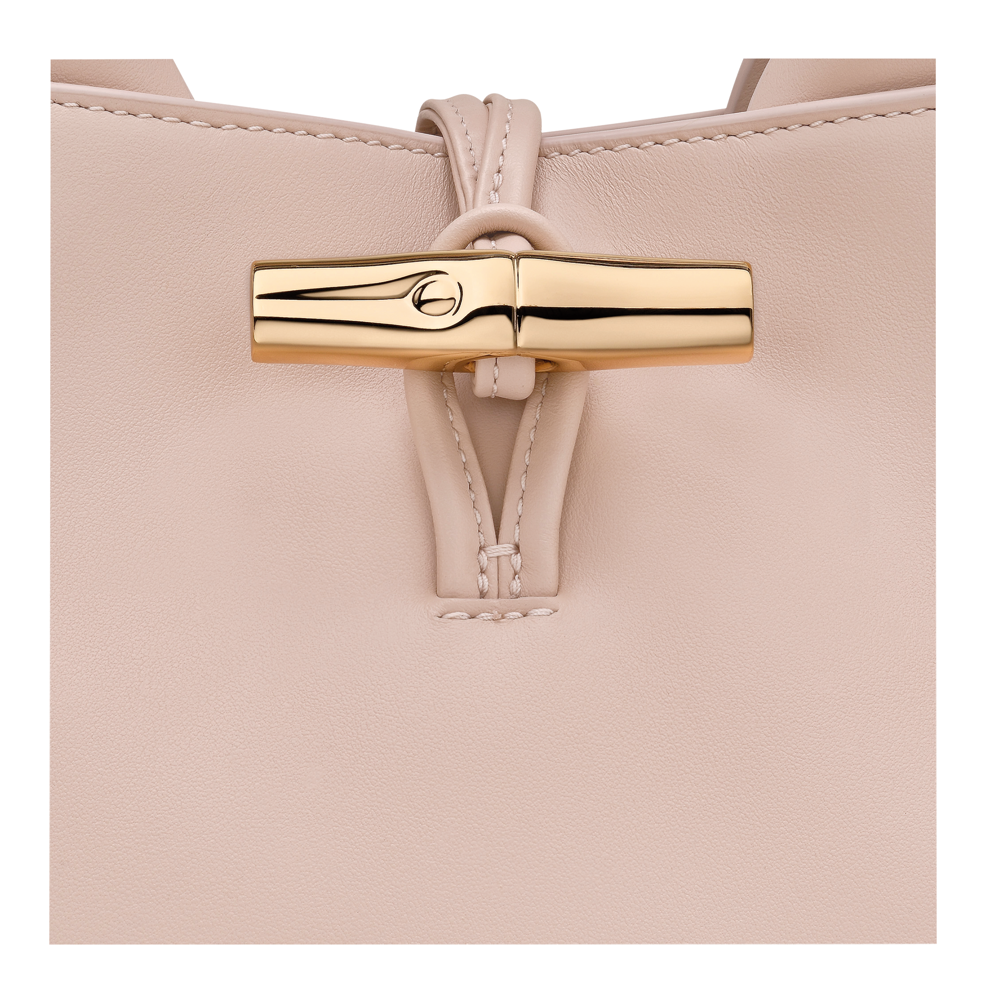 Le Roseau S Handbag